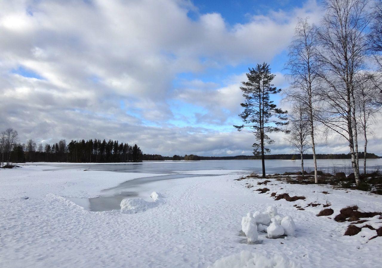 Tiiringolf Cottages Nilsiä Exteriér fotografie